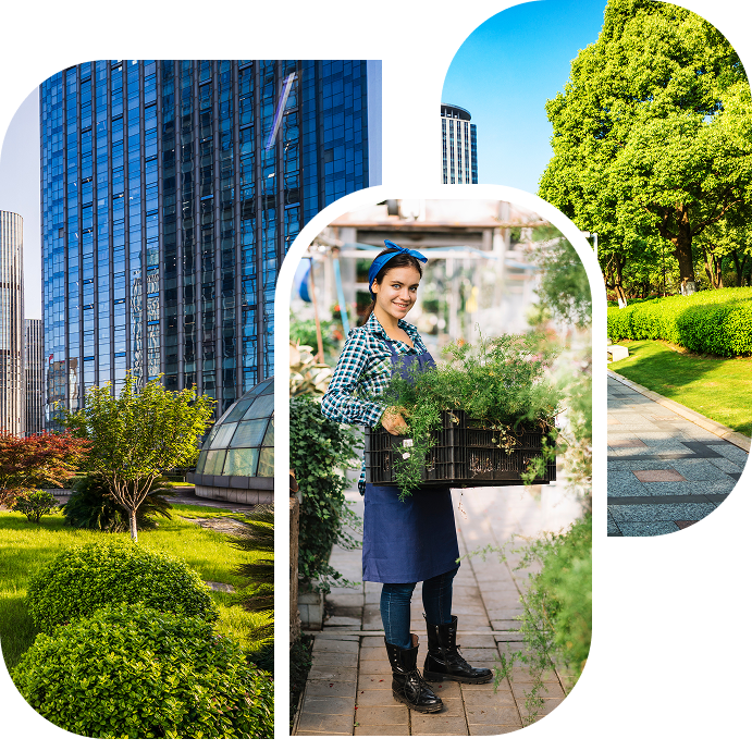 Commercial Maintenance