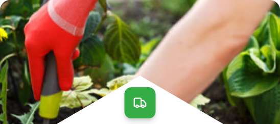 Rapid Site Transport