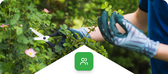 Market Leading Rates