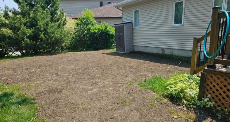 A New Chapter for Local Landscapes: Meet Nick’s Landscaping Depot