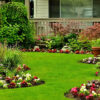 Create the Perfect Outdoor Space by Planning Your Dream Garden with Expert Garden Design Services