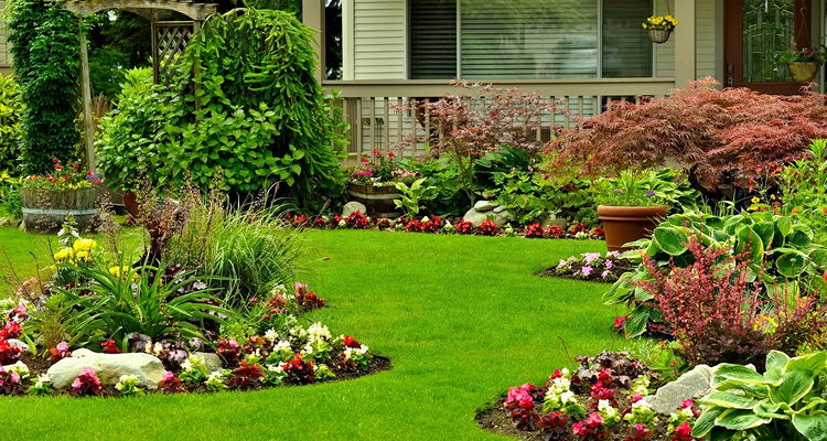 Create the Perfect Outdoor Space by Planning Your Dream Garden with Expert Garden Design Services
