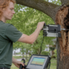 professional tree services