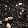 Close-up of rich dark soil mixed with slow-release lawn fertilizer granules prepared for seasonal lawn care in Russell.