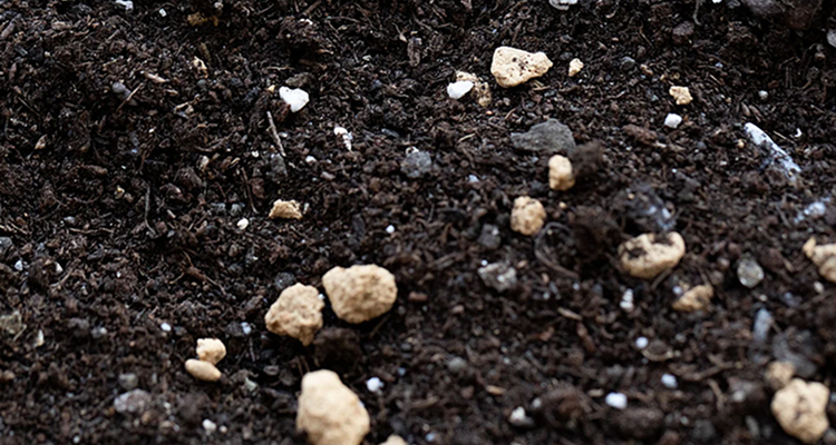 When Should You Fertilize Your Lawn in Russell?